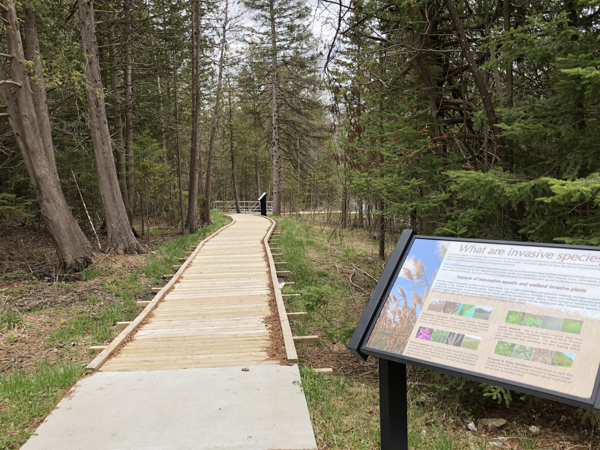 Parks and Recreation Long Rapids Township